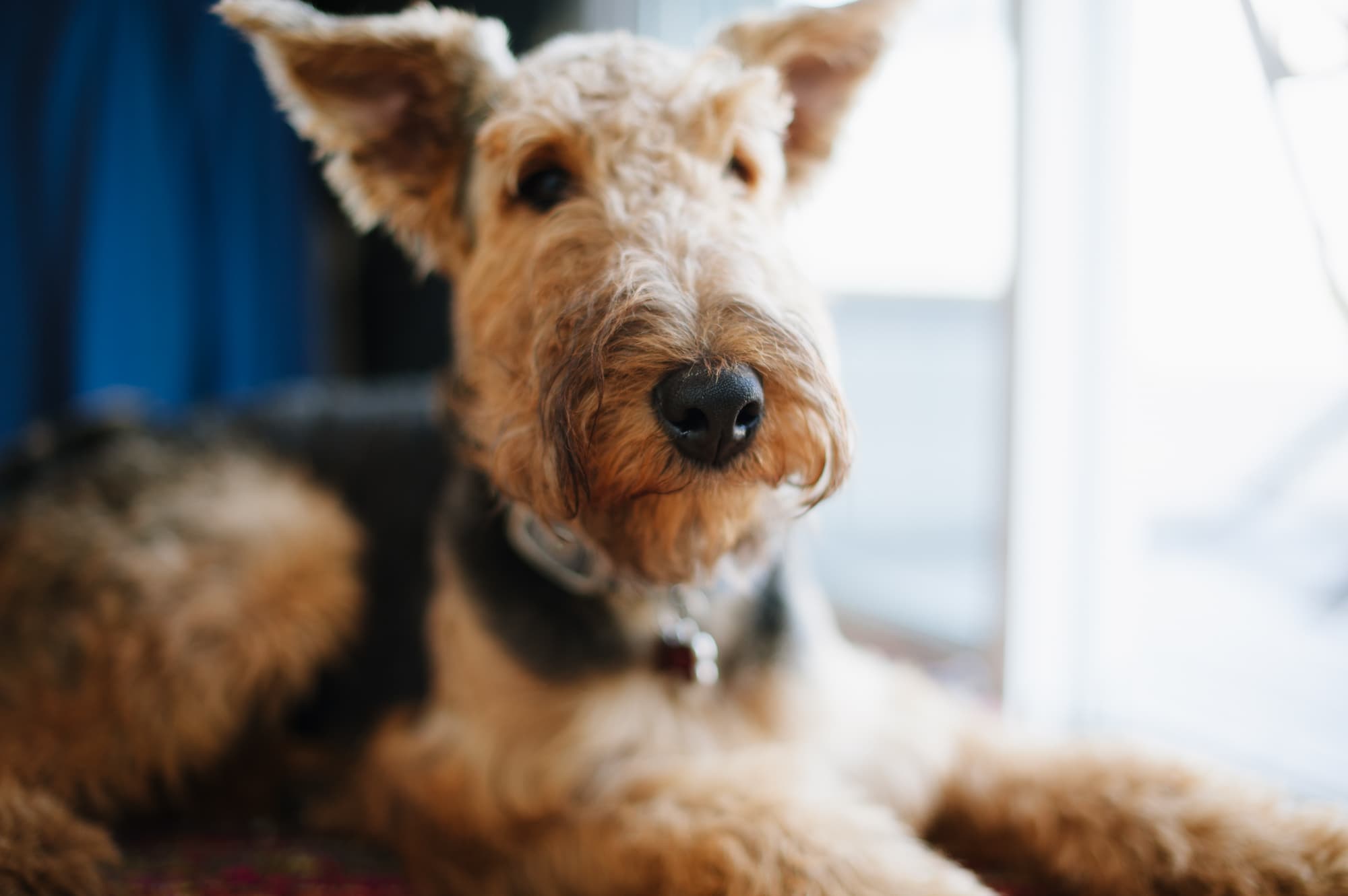 Fire Island Wedding, Gay Marriage, NYC Wedding Photographer