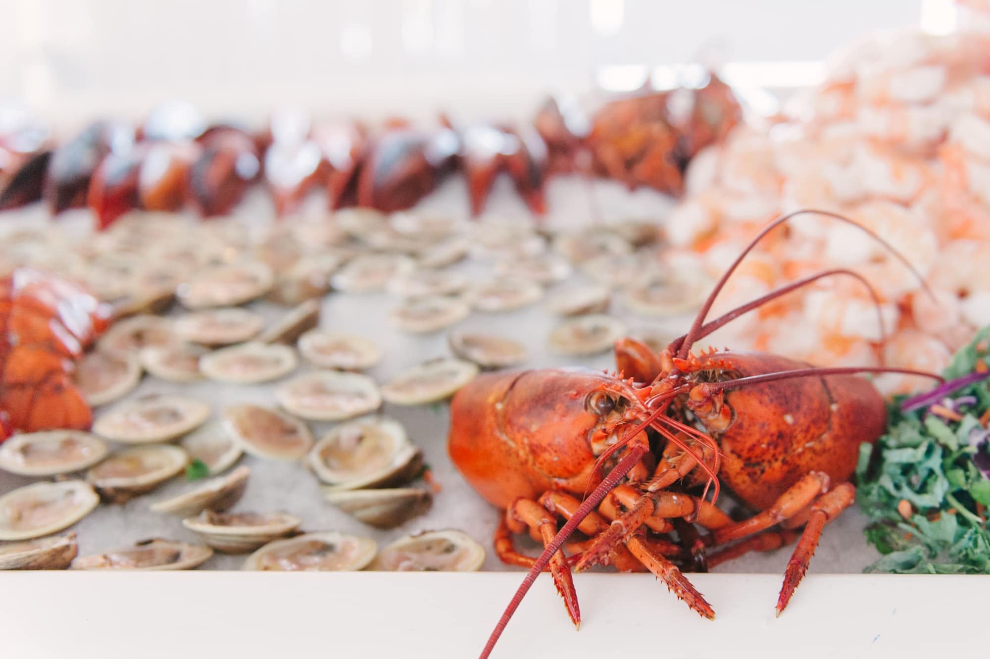 Fire Island Wedding, Gay Marriage, NYC Wedding Photographer