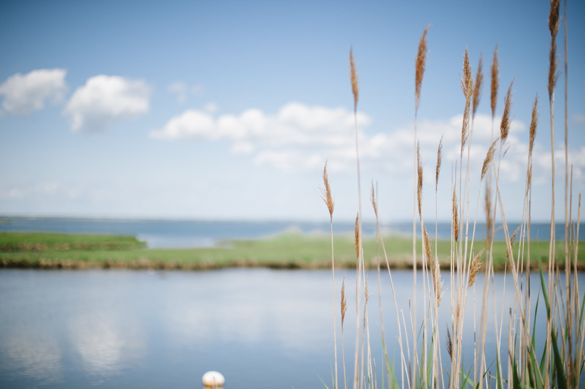 Fire Island Wedding, Gay Marriage, NYC Wedding Photographer