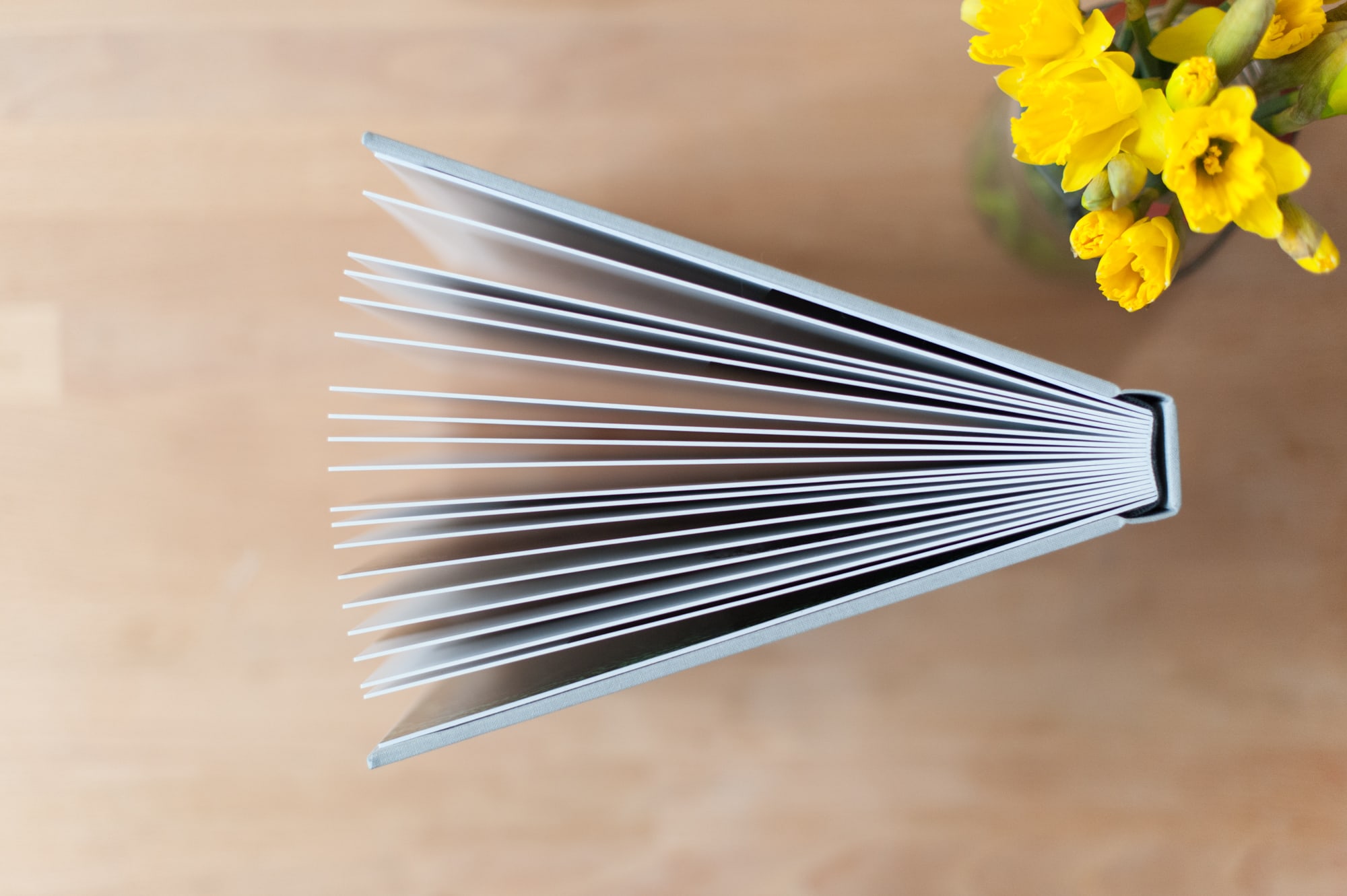 Renaissance Soho Album