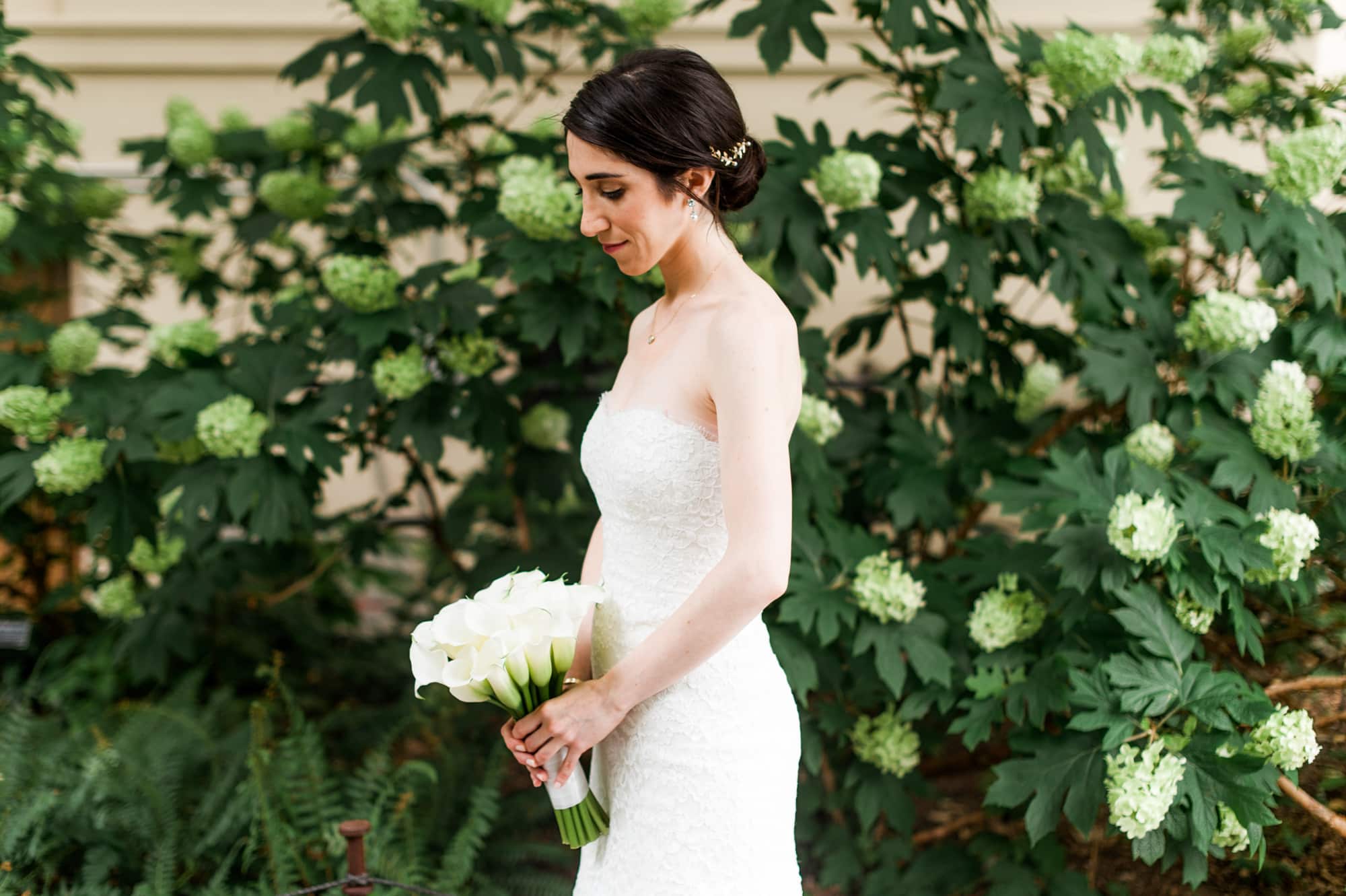 Brooklyn Botanical Garden, Brooklyn Wedding, Scottish Wedding