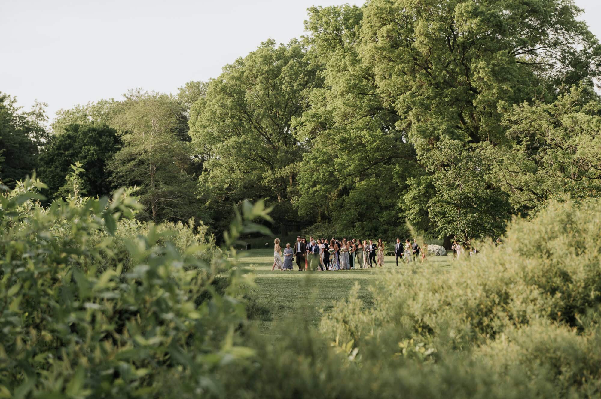 Brooklyn Botanic Garden Wedding, Palm House Wedding, Brooklyn Wedding, Eileen Meny Photography, Photojournalistic Wedding Photographer