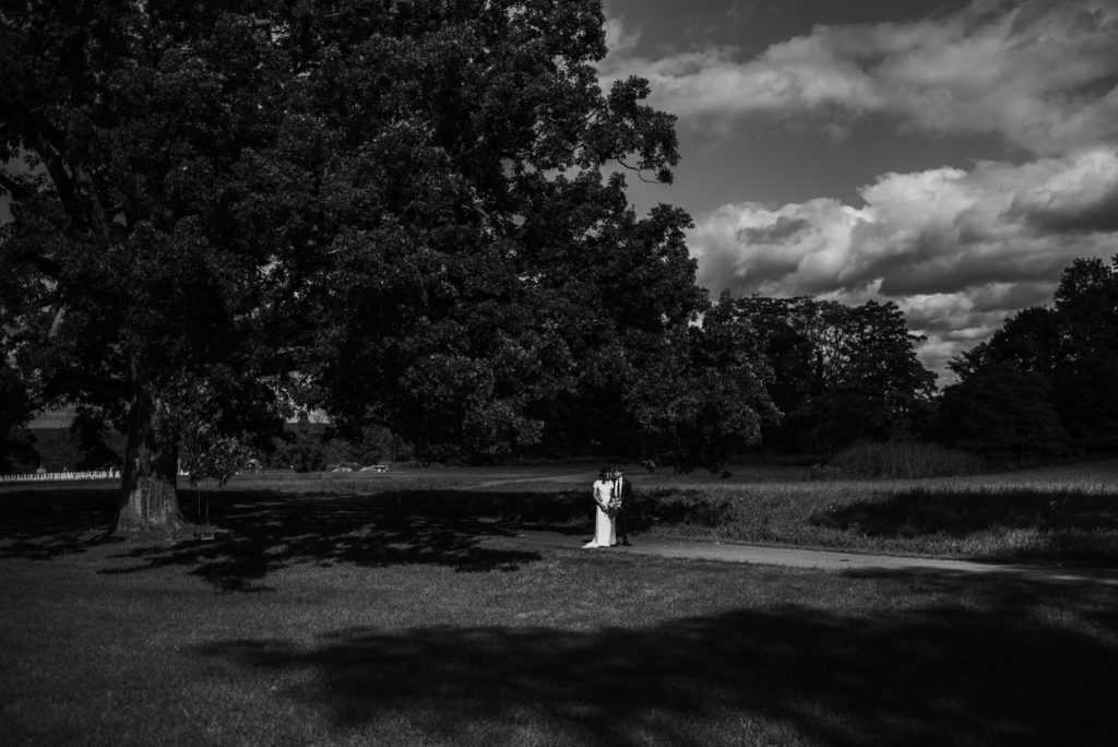 Hudson Valley Wedding, Persian Wedding, Red Maple Vineyard Wedding