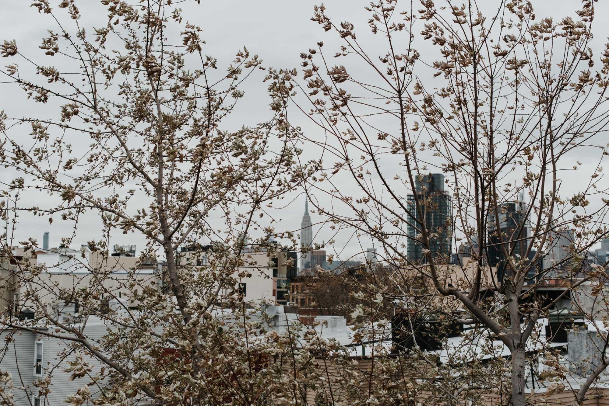 Brooklyn Winery Wedding, Brooklyn Documentary Wedding Photographer, Williamsburg Wedding, Indie Bride