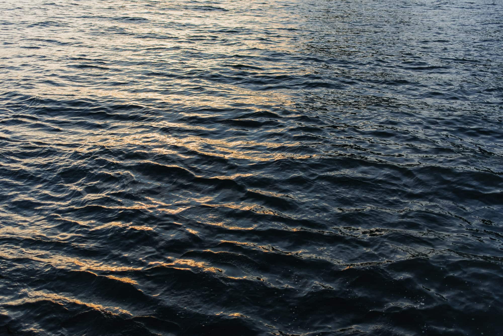 NYC City Hall Elopement, Winter NYC Elopement, Elope NYC